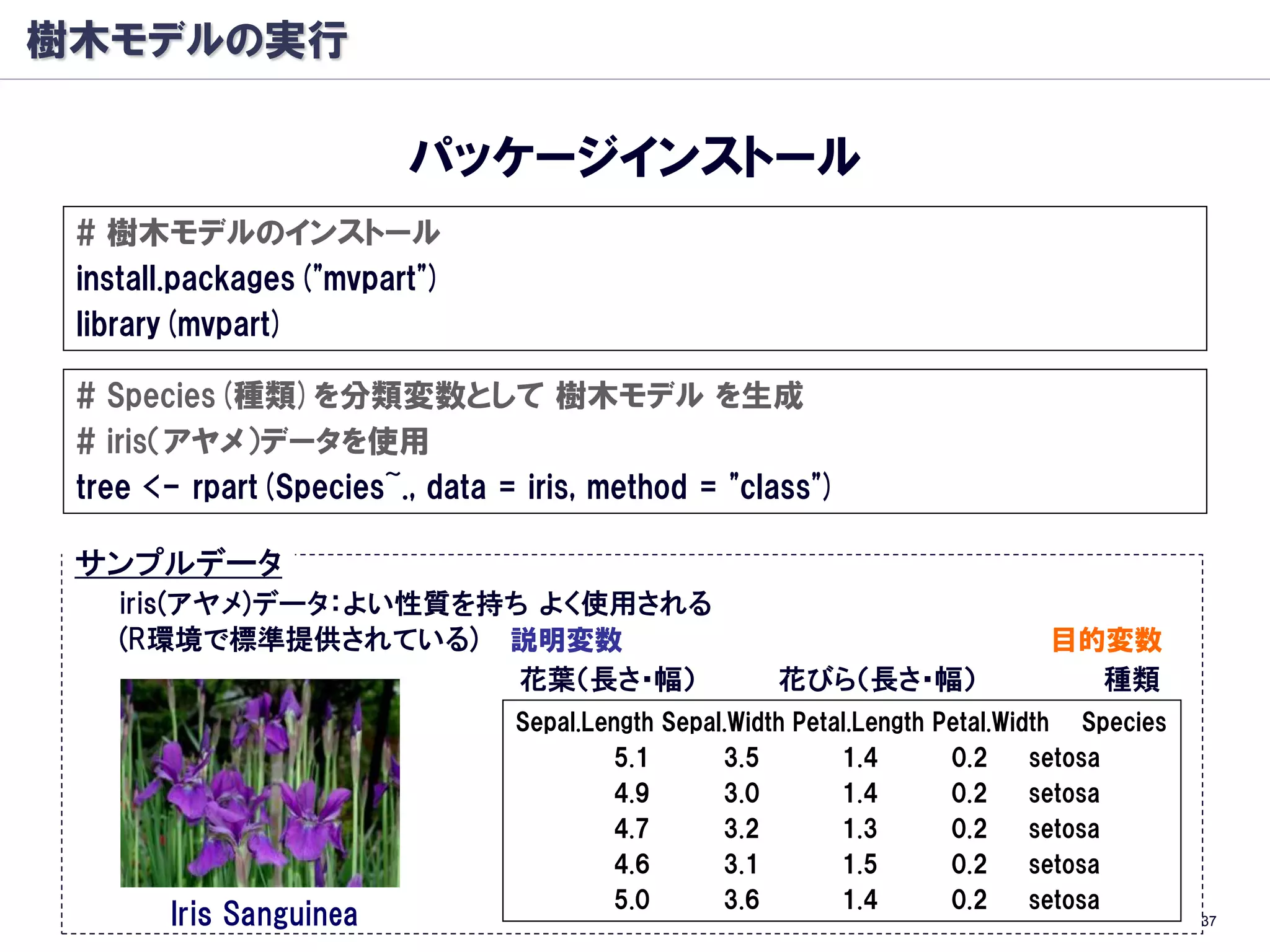 樹木モデルの実行

                        パッケージインストール
 # 樹木モデルのインストール
 install.packages("mvpart")
 library(mvpart)

 # Species(種類)を分類変数として 樹木モデル を生成
 # iris（アヤメ）データを使用
 tree <- rpart(Species~., data = iris, method = "class")

 サンプルデータ
    iris(アヤメ)データ：よい性質を持ち よく使用される
    (R環境で標準提供されている) 説明変数                                                      目的変数
                        花葉（長さ・幅）                      花びら（長さ・幅）                 種類
                                Sepal.Length Sepal.Width Petal.Length Petal.Width Species
                                        5.1       3.5        1.4       0.2     setosa
                                        4.9       3.0        1.4       0.2     setosa
                                        4.7       3.2        1.3       0.2     setosa
                                        4.6       3.1        1.5       0.2     setosa
                                        5.0       3.6        1.4       0.2     setosa
       Iris Sanguinea                                                                       37
 