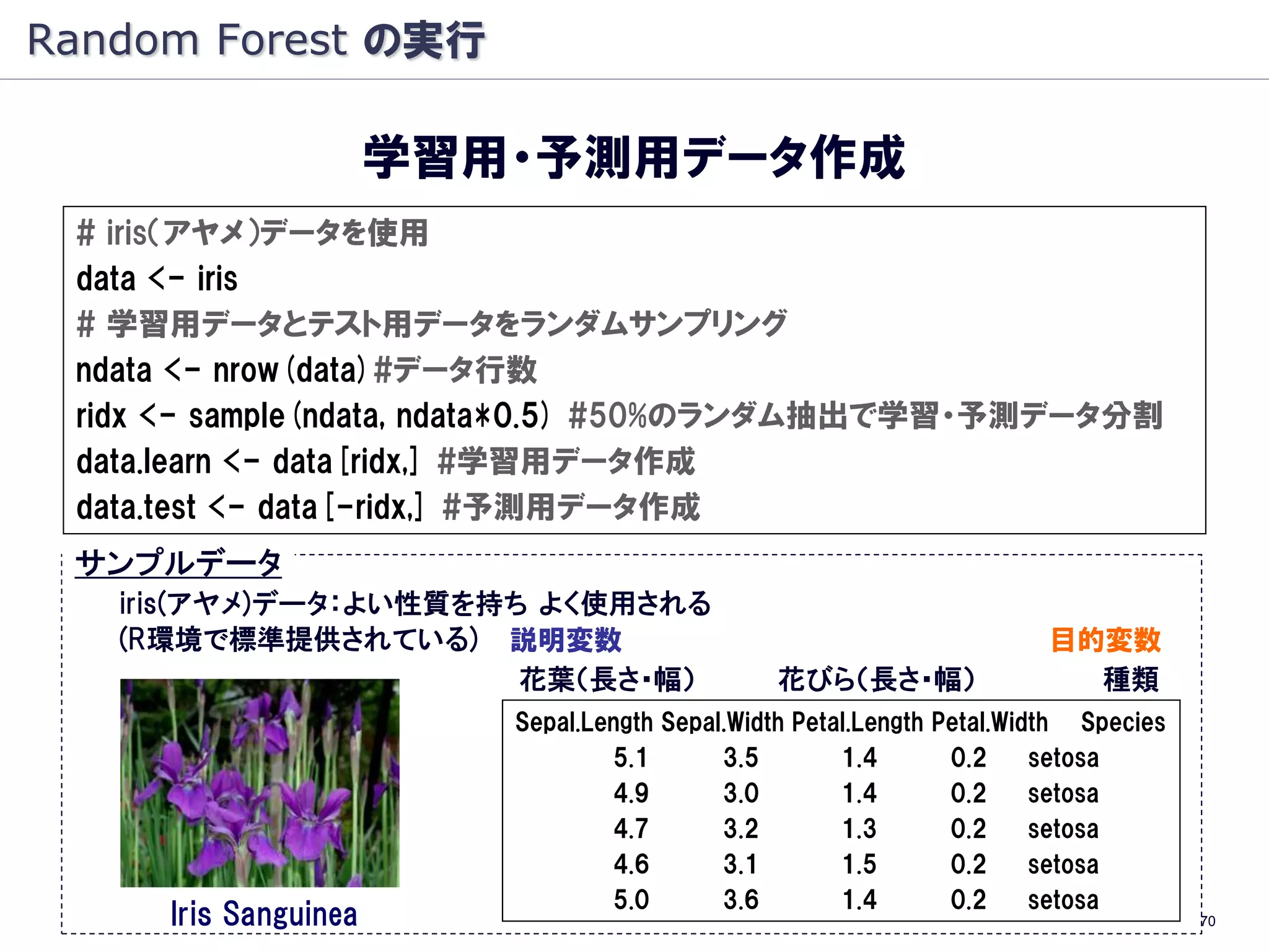 Random Forest の実行

                      学習用・予測用データ作成
 # iris（アヤメ）データを使用
 data <- iris
 # 学習用データとテスト用データをランダムサンプリング
 ndata <- nrow(data)#データ行数
 ridx <- sample(ndata, ndata*0.5) #50%のランダム抽出で学習・予測データ分割
 data.learn <- data[ridx,] #学習用データ作成
 data.test <- data[-ridx,] #予測用データ作成
 サンプルデータ
   iris(アヤメ)データ：よい性質を持ち よく使用される
   (R環境で標準提供されている) 説明変数                                                目的変数
                       花葉（長さ・幅）                花びら（長さ・幅）                 種類
                         Sepal.Length Sepal.Width Petal.Length Petal.Width Species
                                 5.1       3.5        1.4       0.2     setosa
                                 4.9       3.0        1.4       0.2     setosa
                                 4.7       3.2        1.3       0.2     setosa
                                 4.6       3.1        1.5       0.2     setosa
                                 5.0       3.6        1.4       0.2     setosa
     Iris Sanguinea                                                                  70
 