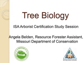 Tree Biology
  ISA Arborist Certification Study Session

Angela Belden, Resource Forester Assistant,
   Missouri Department of Conservation
 