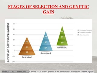 Selective Breeding Tree Tree breeding methods | PPTX