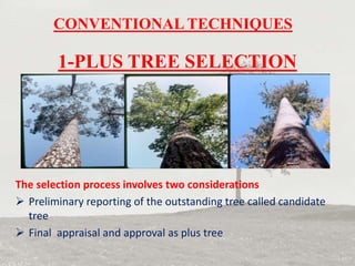 Tree breeding methods | PPTX