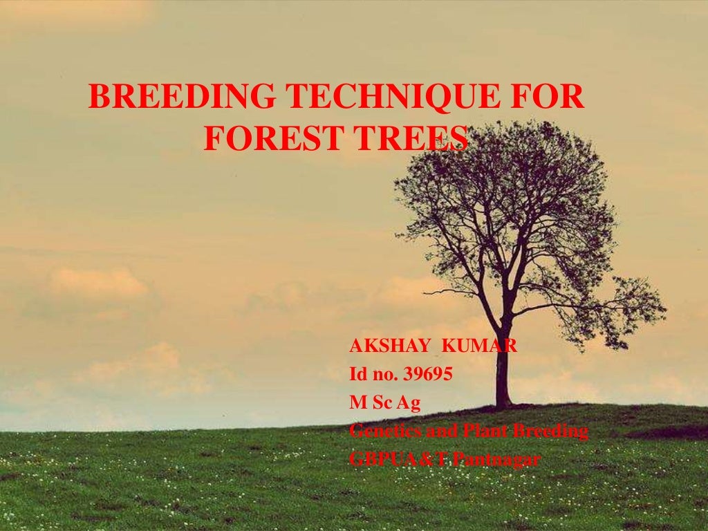Tree breeding methods
