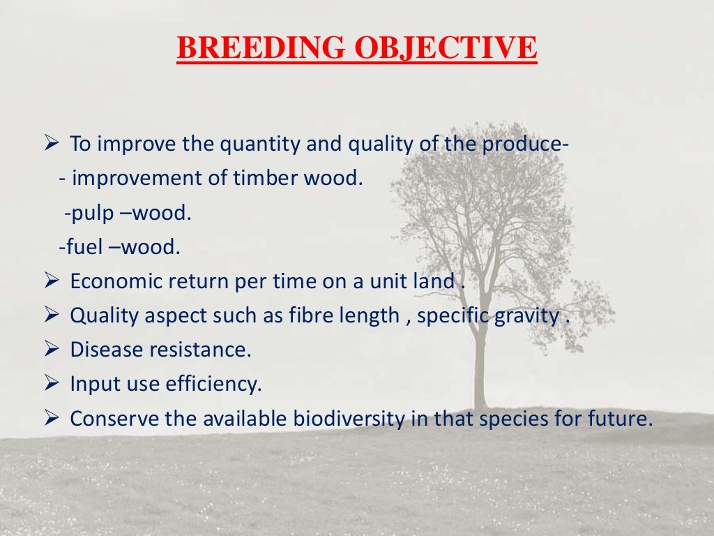 Tree breeding methods