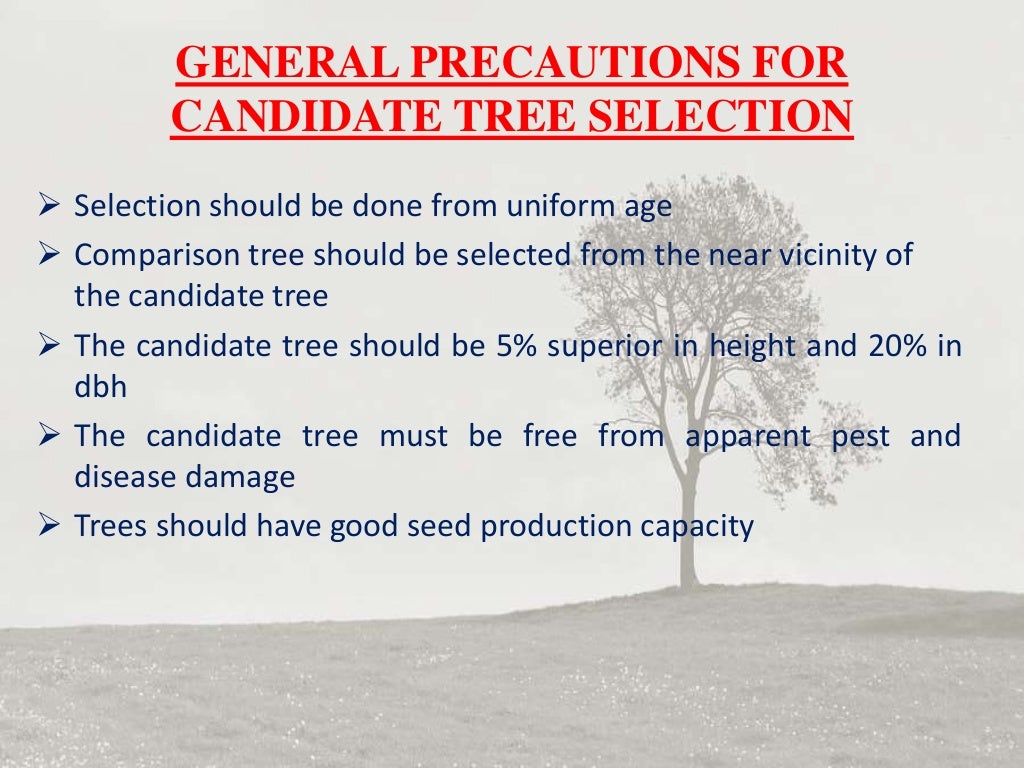 Tree breeding methods