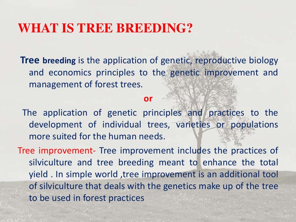 Tree breeding methods