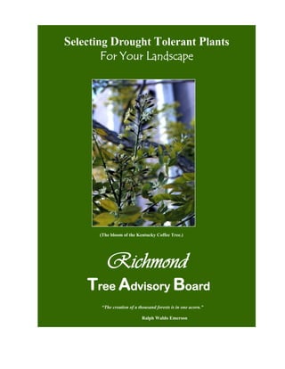 Selecting Drought Tolerant Plants
        For Your Landscape




       (The bloom of the Kentucky Coffee Tree.)




          Richmond
    Tree Advisory Board
       “The creation of a thousand forests is in one acorn.”

                           Ralph Waldo Emerson
 