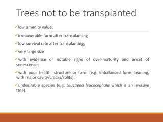 Trees not to be transplanted
low amenity value;
irrecoverable form after transplanting
low survival rate after transplanting;
very large size
with evidence or notable signs of over-maturity and onset of
senescence;
with poor health, structure or form (e.g. imbalanced form, leaning,
with major cavity/cracks/splits);
undesirable species (e.g. Leucaena leucocephala which is an invasive
tree).
 