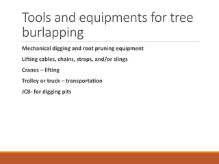 Tools and equipments for tree
burlapping
Mechanical digging and root pruning equipment
Lifting cables, chains, straps, and/or slings
Cranes – lifting
Trolley or truck – transportation
JCB- for digging pits
 