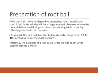 Preparation of root ball
The root ball size varies depending on species, habit, location and
specific attributes which shall be as large as practicable to maximise the
potential of survival during and after transplanting while balancing
other logistical and cost concerns.
In general, the root ball diameter to tree diameter ranges from 8:1 to
10:1 according to international standards.
Normally the diameter of a root ball is larger than its depth which
seldom exceeds 1 metre.
 