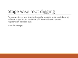 Stage wise root digging
For mature trees, root pruning is usually required to be carried out at
different stages with a minimum of 1 month allowed for root
regeneration between cuts.
It has four stages.
 