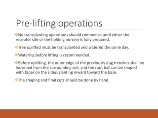 Pre-lifting operations
No transplanting operations should commence until either the
receptor site or the holding nursery is fully prepared.
Tree uplifted must be transplanted and watered the same day.
Watering before lifting is recommended.
Before uplifting, the outer edge of the previously dug trenches shall be
loosened from the surrounding soil, and the root ball can be shaped
with taper on the sides, slanting inward toward the base.
The shaping and final cuts should be done by hand.
 
