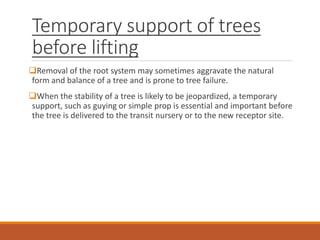 Temporary support of trees
before lifting
Removal of the root system may sometimes aggravate the natural
form and balance of a tree and is prone to tree failure.
When the stability of a tree is likely to be jeopardized, a temporary
support, such as guying or simple prop is essential and important before
the tree is delivered to the transit nursery or to the new receptor site.
 