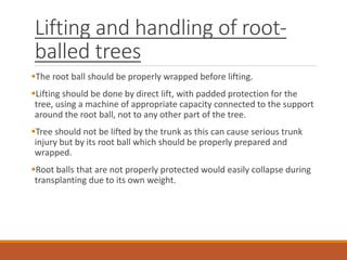 Lifting and handling of root-
balled trees
The root ball should be properly wrapped before lifting.
Lifting should be done by direct lift, with padded protection for the
tree, using a machine of appropriate capacity connected to the support
around the root ball, not to any other part of the tree.
Tree should not be lifted by the trunk as this can cause serious trunk
injury but by its root ball which should be properly prepared and
wrapped.
Root balls that are not properly protected would easily collapse during
transplanting due to its own weight.
 