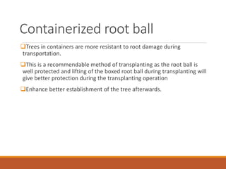 Containerized root ball
Trees in containers are more resistant to root damage during
transportation.
This is a recommendable method of transplanting as the root ball is
well protected and lifting of the boxed root ball during transplanting will
give better protection during the transplanting operation
Enhance better establishment of the tree afterwards.
 