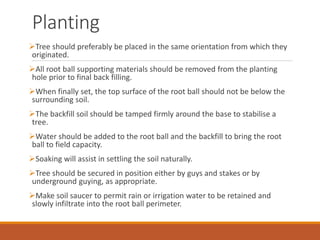 Planting
Tree should preferably be placed in the same orientation from which they
originated.
All root ball supporting materials should be removed from the planting
hole prior to final back filling.
When finally set, the top surface of the root ball should not be below the
surrounding soil.
The backfill soil should be tamped firmly around the base to stabilise a
tree.
Water should be added to the root ball and the backfill to bring the root
ball to field capacity.
Soaking will assist in settling the soil naturally.
Tree should be secured in position either by guys and stakes or by
underground guying, as appropriate.
Make soil saucer to permit rain or irrigation water to be retained and
slowly infiltrate into the root ball perimeter.
 
