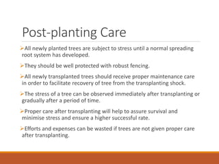 Post-planting Care
All newly planted trees are subject to stress until a normal spreading
root system has developed.
They should be well protected with robust fencing.
All newly transplanted trees should receive proper maintenance care
in order to facilitate recovery of tree from the transplanting shock.
The stress of a tree can be observed immediately after transplanting or
gradually after a period of time.
Proper care after transplanting will help to assure survival and
minimise stress and ensure a higher successful rate.
Efforts and expenses can be wasted if trees are not given proper care
after transplanting.
 