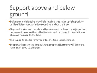 Support above and below
ground
Staking or initial guying may help retain a tree in an upright position
until sufficient roots are developed to anchor the tree.
Guys and stakes and ties should be removed, replaced or adjusted as
necessary to ensure their effectiveness and to prevent constriction or
abrasion damage to the tree.
The supports can be removed after the tree establishment.
Supports that stay too long without proper adjustment will do more
harm than good to the trees.
 