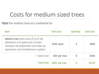 Costs for medium sized trees
 