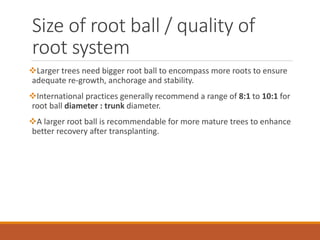 Size of root ball / quality of
root system
Larger trees need bigger root ball to encompass more roots to ensure
adequate re-growth, anchorage and stability.
International practices generally recommend a range of 8:1 to 10:1 for
root ball diameter : trunk diameter.
A larger root ball is recommendable for more mature trees to enhance
better recovery after transplanting.
 