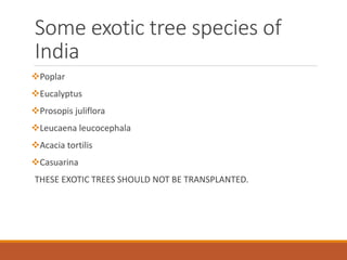 Some exotic tree species of
India
Poplar
Eucalyptus
Prosopis juliflora
Leucaena leucocephala
Acacia tortilis
Casuarina
THESE EXOTIC TREES SHOULD NOT BE TRANSPLANTED.
 