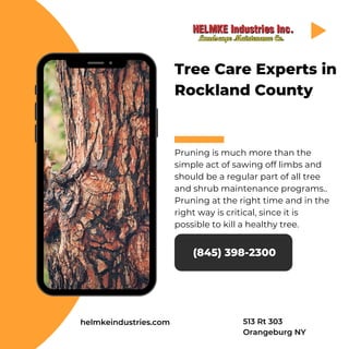 Tree Care Experts in
Rockland County
Pruning is much more than the
simple act of sawing off limbs and
should be a regular part of all tree
and shrub maintenance programs..
Pruning at the right time and in the
right way is critical, since it is
possible to kill a healthy tree.
(845) 398-2300
helmkeindustries.com 513 Rt 303
Orangeburg NY
 