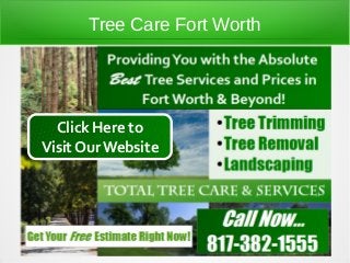 Tree Care Fort Worth




  Click Here to
Visit Our Website
 
