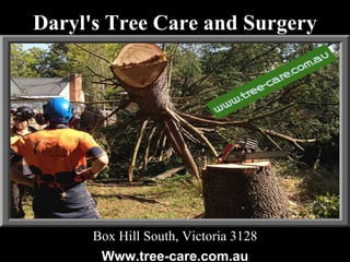 Daryl's Tree Care and Surgery
Box Hill South, Victoria 3128
Www.tree-care.com.au
 