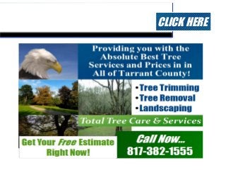 Tree Care Tarrant County   CLICK HERE
 