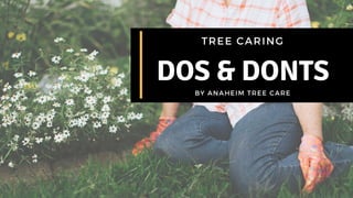 BY ANAHEIM TREE CARE
TREE CARING
DOS & DONTS
 