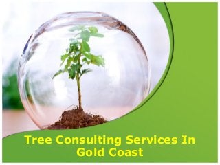 Tree Consulting Services In
Gold Coast
 
