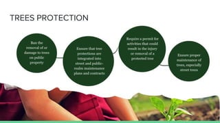 Tree Cover and Green Spaces Management in Islamabad.pptx