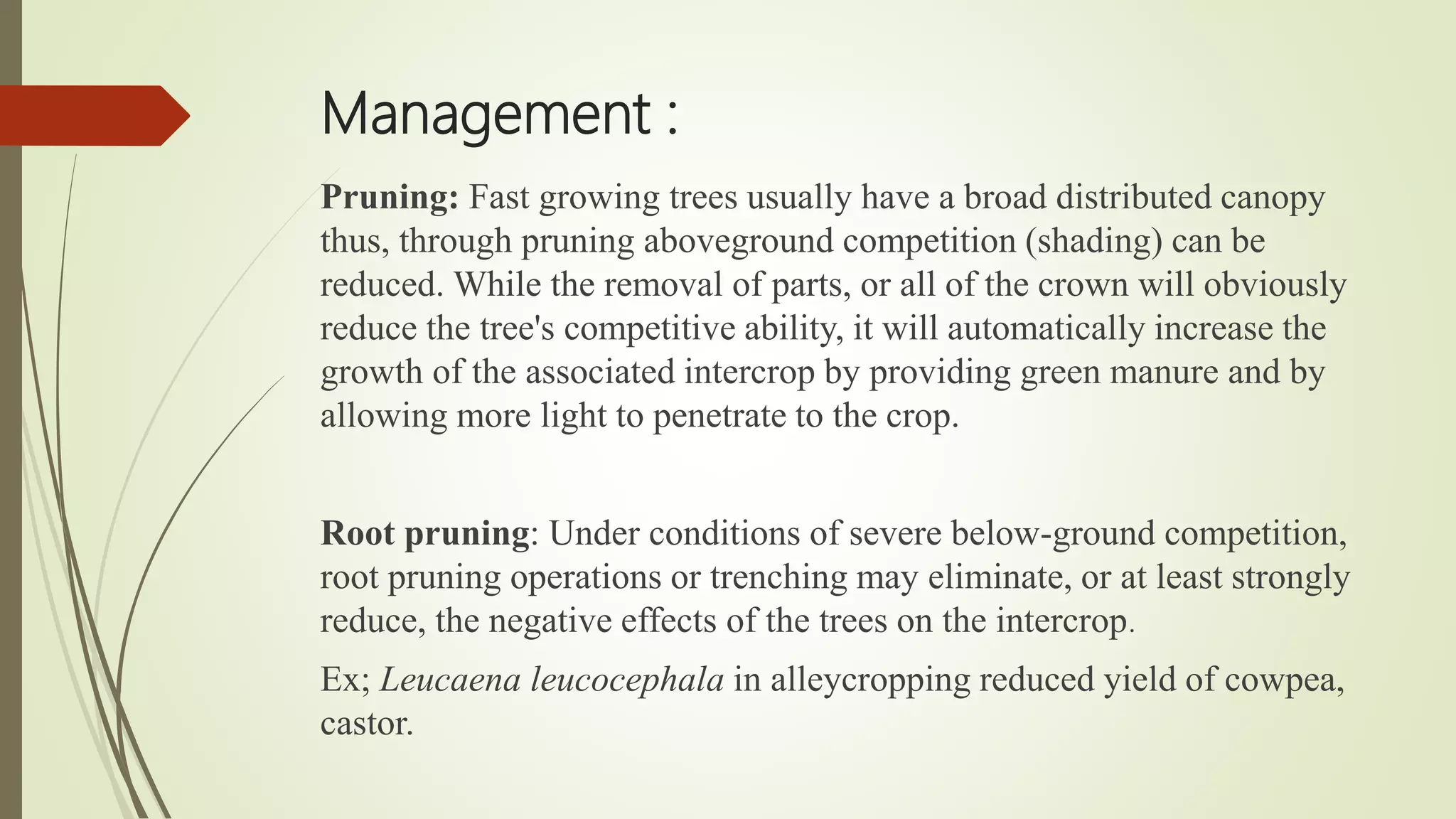 Tree crop interaction under agroforestry | PPTX