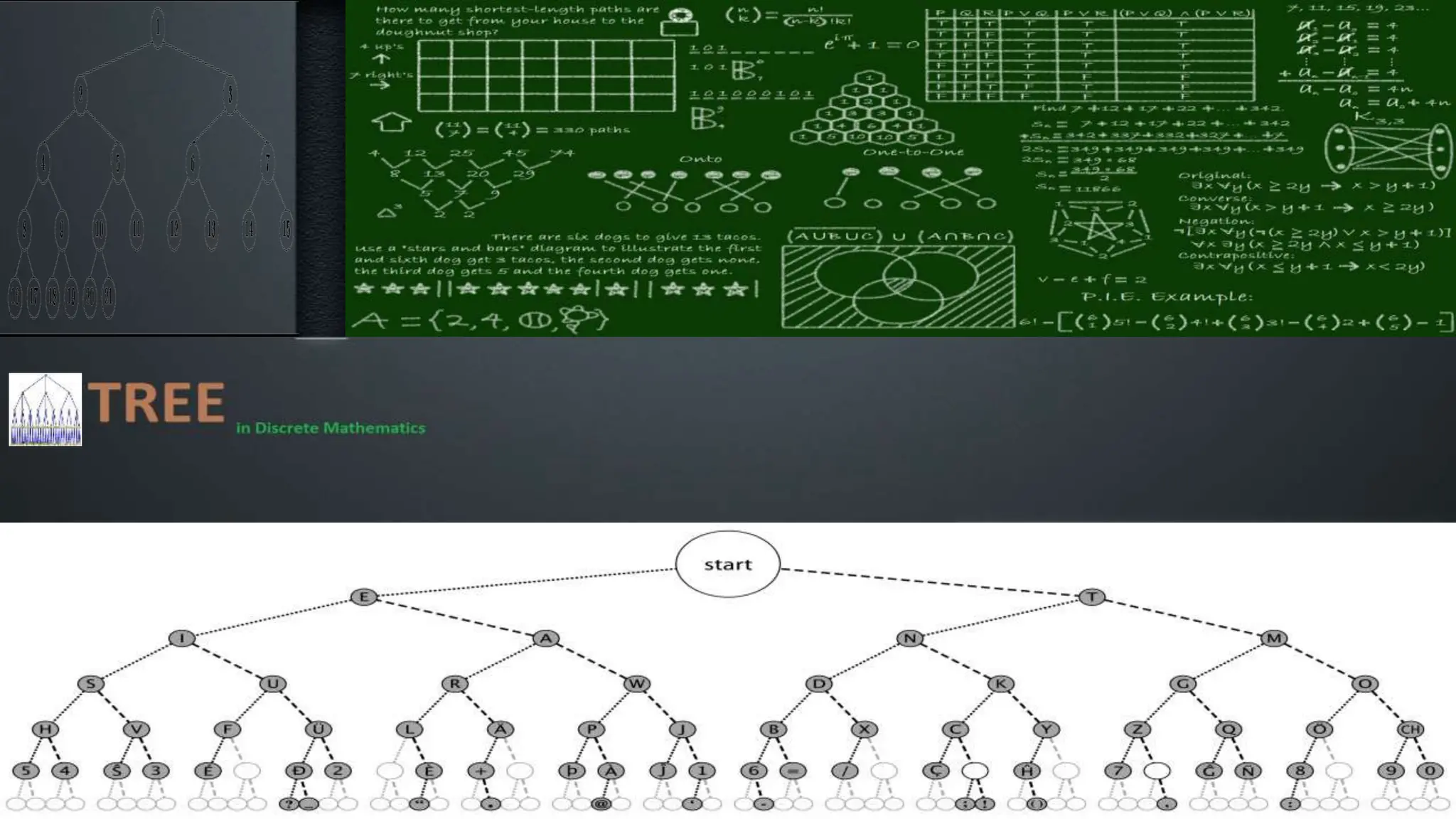 Title Layout
• Subtitle
 