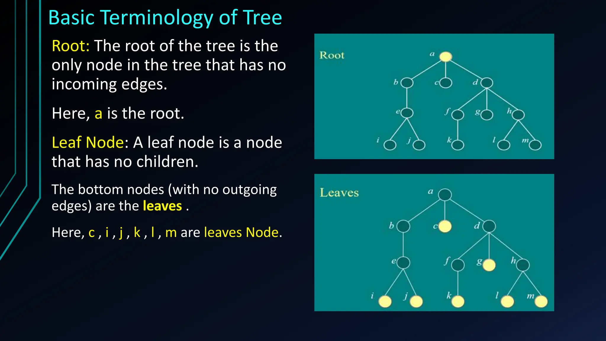 Basic Terminology of Tree
Root: The root of the tree is the
only node in the tree that has no
incoming edges.
Here, a is the root.
Leaf Node: A leaf node is a node
that has no children.
The bottom nodes (with no outgoing
edges) are the leaves .
Here, c , i , j , k , l , m are leaves Node.
 