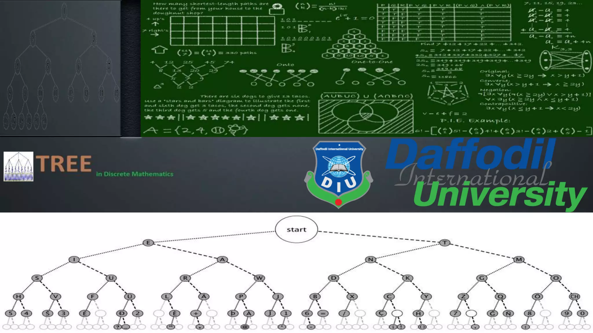 Title Layout • Subtitle 