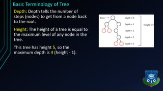 Tree (Data Structure & Discrete Mathematics) | PPTX