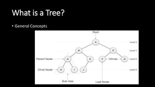 What is a Tree?
• General Concepts
 