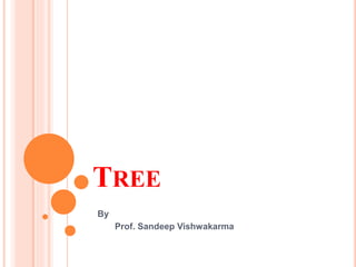 TREE
By
Prof. Sandeep Vishwakarma
 