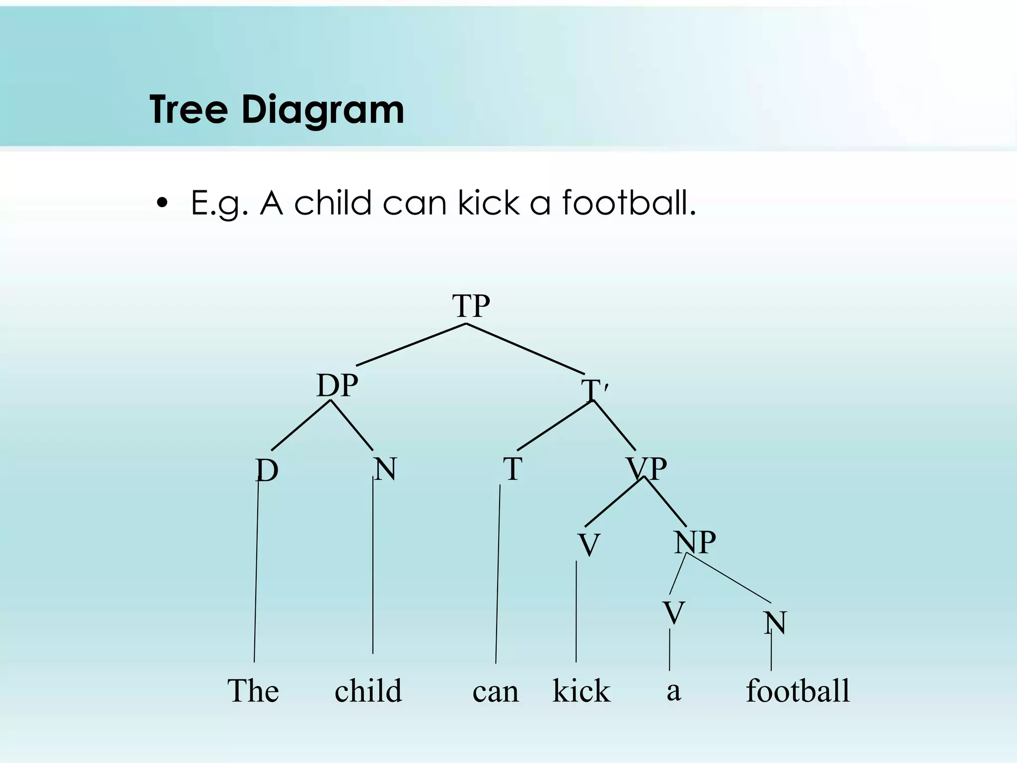 Tree Diagram
• E.g. A child can kick a football.
TP
DP T'
D N T VP
V NP
The child can kick football
NV
a
 