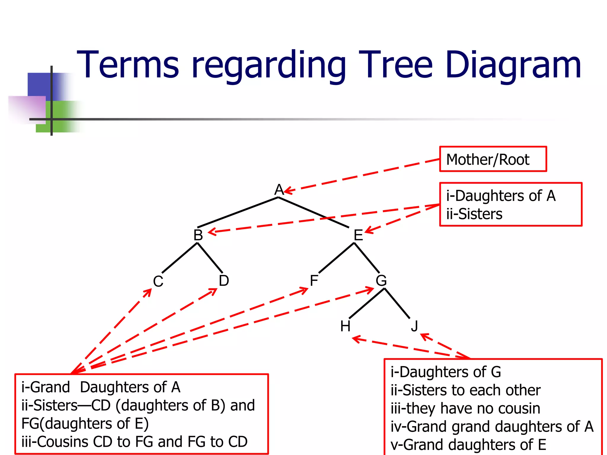 Terms regarding Tree Diagram
A
B E
C D F G
H J
Mother/Root
i-Daughters of A
ii-Sisters
i-Grand Daughters of A
ii-Sisters—CD (daughters of B) and
FG(daughters of E)
iii-Cousins CD to FG and FG to CD
i-Daughters of G
ii-Sisters to each other
iii-they have no cousin
iv-Grand grand daughters of A
v-Grand daughters of E
 