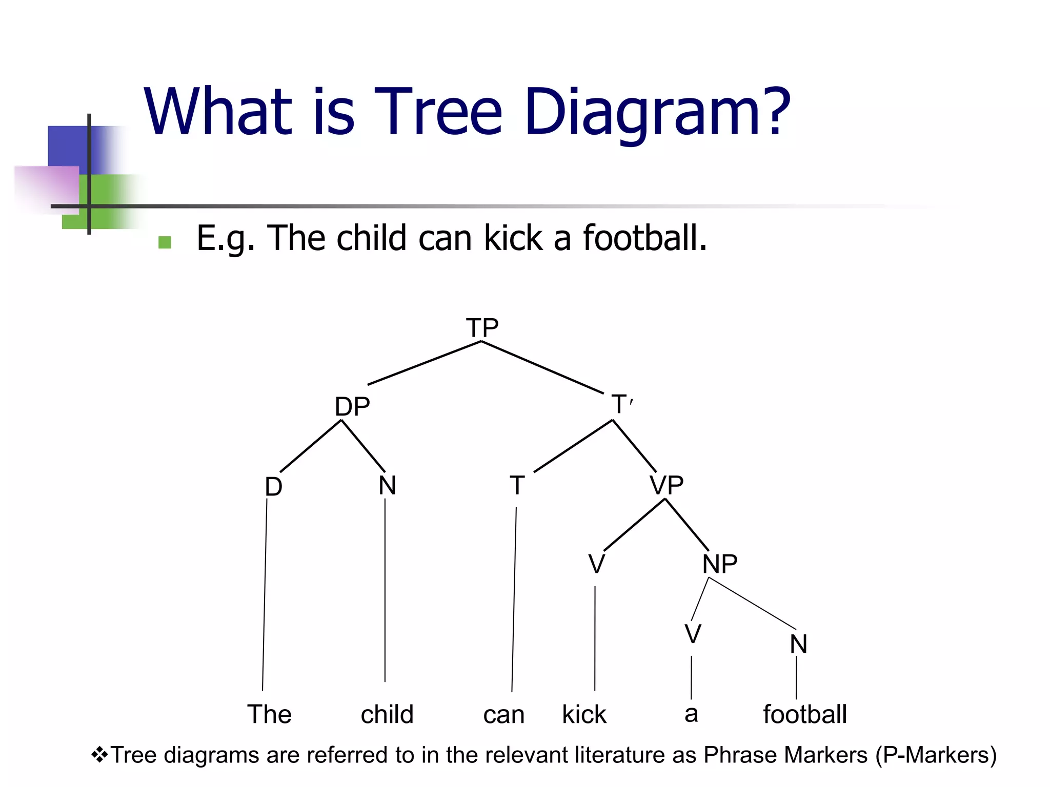 What is Tree Diagram?
 E.g. The child can kick a football.
TP
DP T'
D N T VP
V NP
The child can kick football
Tree diagrams are referred to in the relevant literature as Phrase Markers (P-Markers)
NV
a
 
