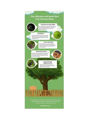 Tree Diseases and Pests that Tree Surveys Show
