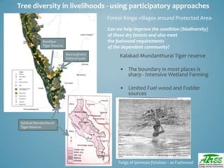 Tree diversityday2012 ganesan
