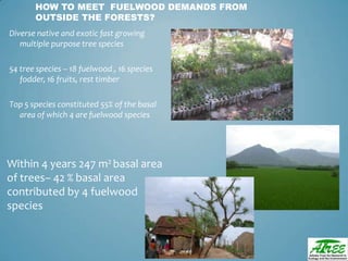 Tree diversityday2012 ganesan