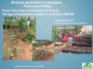 Tree diversityday2012 ganesan