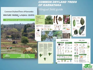 Tree diversityday2012 ganesan