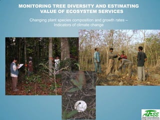 Tree diversityday2012 ganesan