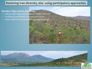 Tree diversityday2012 ganesan