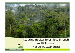 Reducing tropical forest loss through
           multiple-use?
       Manuel R. Guariguata
 