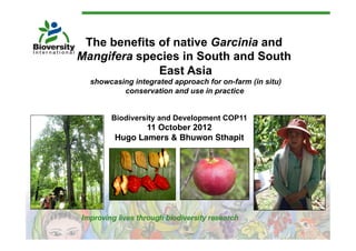The benefits of native Garcinia and
Mangifera species in South and South
              East Asia
  showcasing integrated approach for on-farm (in situ)
          conservation and use in practice


       Biodiversity and Development COP11
               11 October 2012!
        Hugo Lamers & Bhuwon Sthapit
                                   !
 
